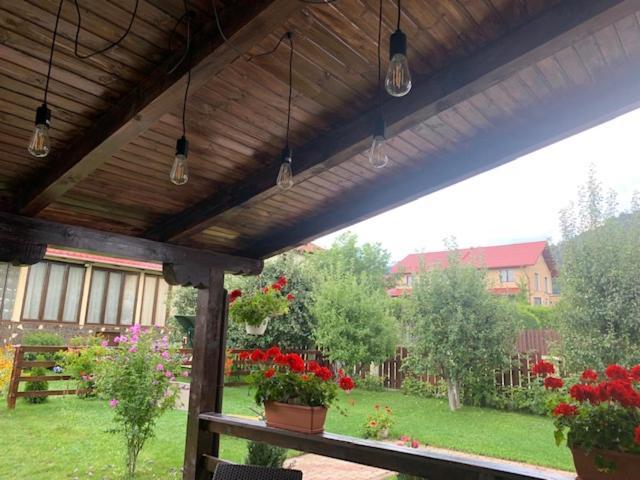Vila Rolizo Brasov Bagian luar foto